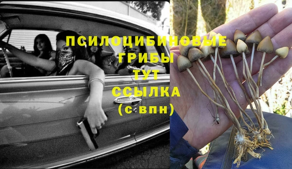 ГАЛЛЮЦИНОГЕННЫЕ ГРИБЫ Богородицк