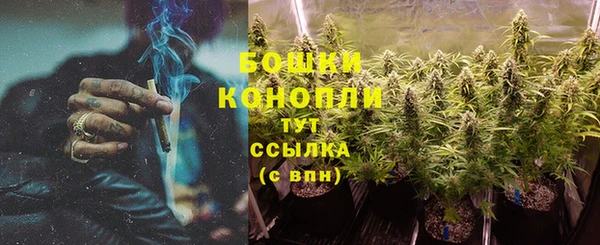 ГАЛЛЮЦИНОГЕННЫЕ ГРИБЫ Богородицк