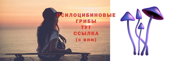 эйфоретик Беломорск