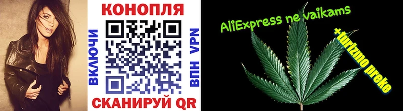 Конопля SATIVA & INDICA  даркнет сайт  Котово 